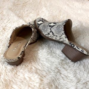 SNAKE SKIN MULE BOOTIES
